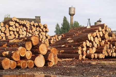 Ekonomikas ministre aicinājusi KP veikt koksnes kurināmā tirgus uzraudzību
