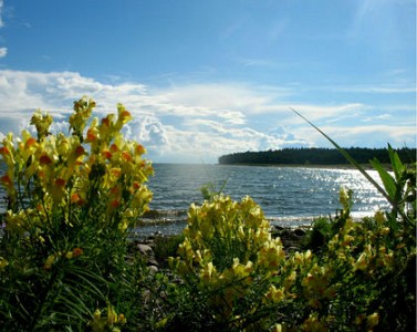 „Baltic Sea Challenge - Cities for a Healthier Sea” (Pilsētas tīrākai Baltijas jūrai) 