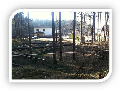 Apbūve mežā un ietekme uz klimatneitralitāti.