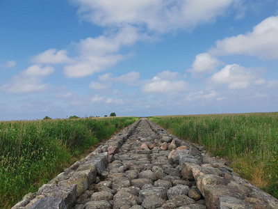 ClimaResponse seminārs par praktiskiem rīkiem vietējās klimata noturības stiprināšanai