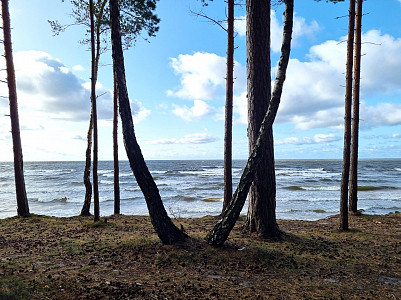 Pašvaldību Ilgtspējīgas enerģētikas un klimata rīcības plāni (SECAP)