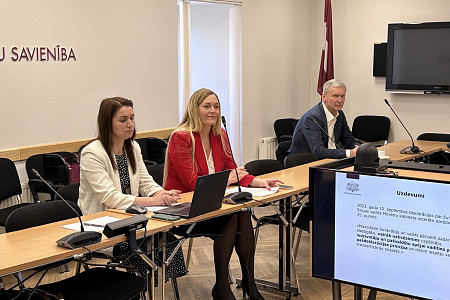Komitejā diskutē par koku ciršanu ārpus meža